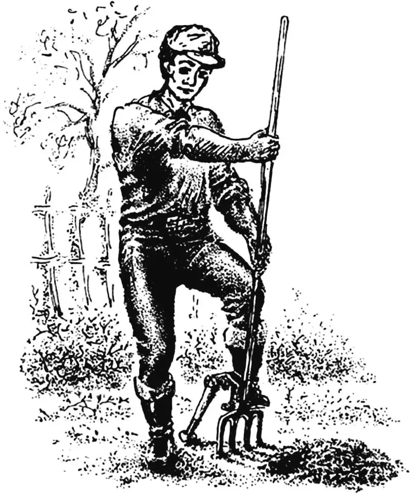 Ричажний городній копач: конструкція