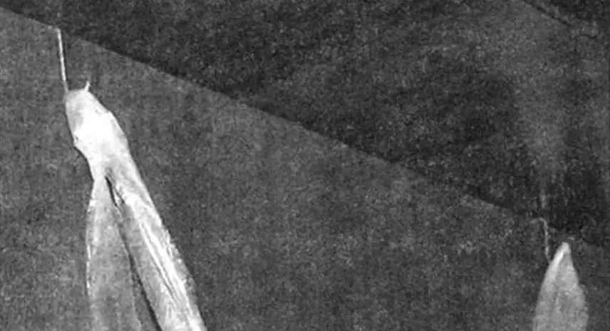 ПАКЕТ, А НЕ КОРЗИНА