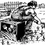 ИНСТРУМЕНТАЛКА У ГРЯДКИ