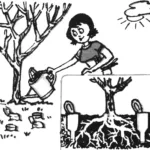 ПОИЛКА ДЛЯ ДЕРЕВЬЕВ