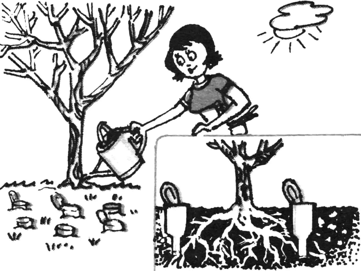 ПОИЛКА ДЛЯ ДЕРЕВЬЕВ