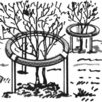 СМОРОДИНА В… ПОКРЫШКЕ