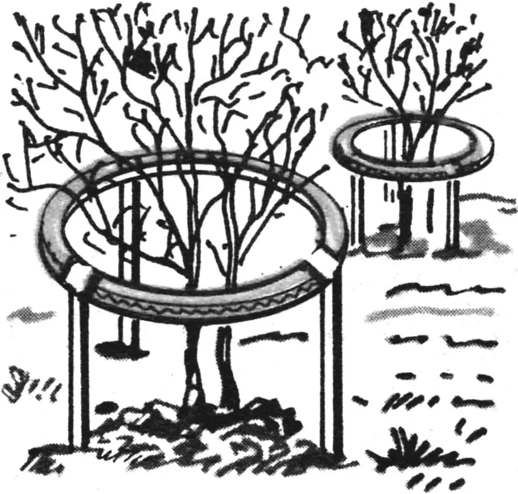 СМОРОДИНА В... ПОКРЫШКЕ