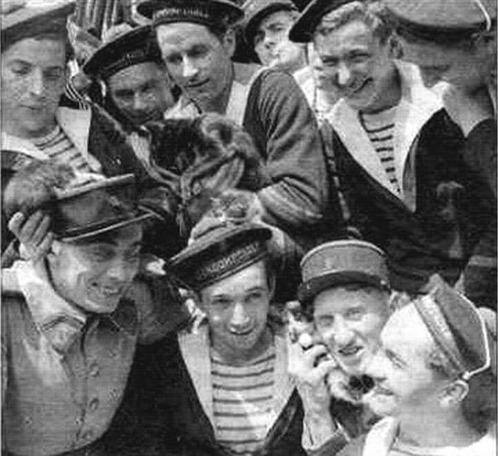 Фотография, сделанная на лидере «Л’Эндомтабль» в первой половине 1940 года: моряки и их любимцы - корабельная кошка с котятами