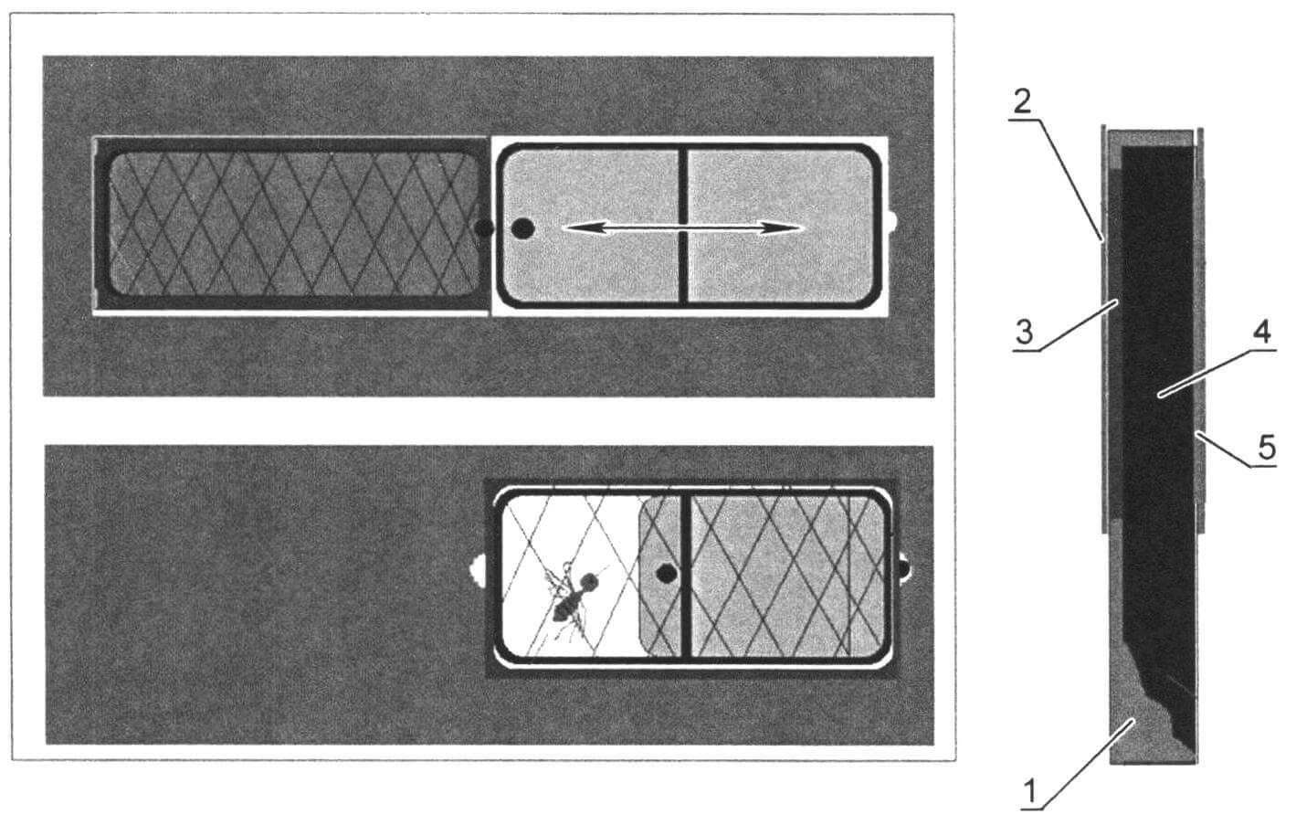 «Фишка» прицепа - москитные сетки, убирающиеся внутрь стен: 1 - пеноплэкс; 2 - внутренняя обшивка; 3 - рамка с москитной сеткой; 4 - каркас; 5 - окно
