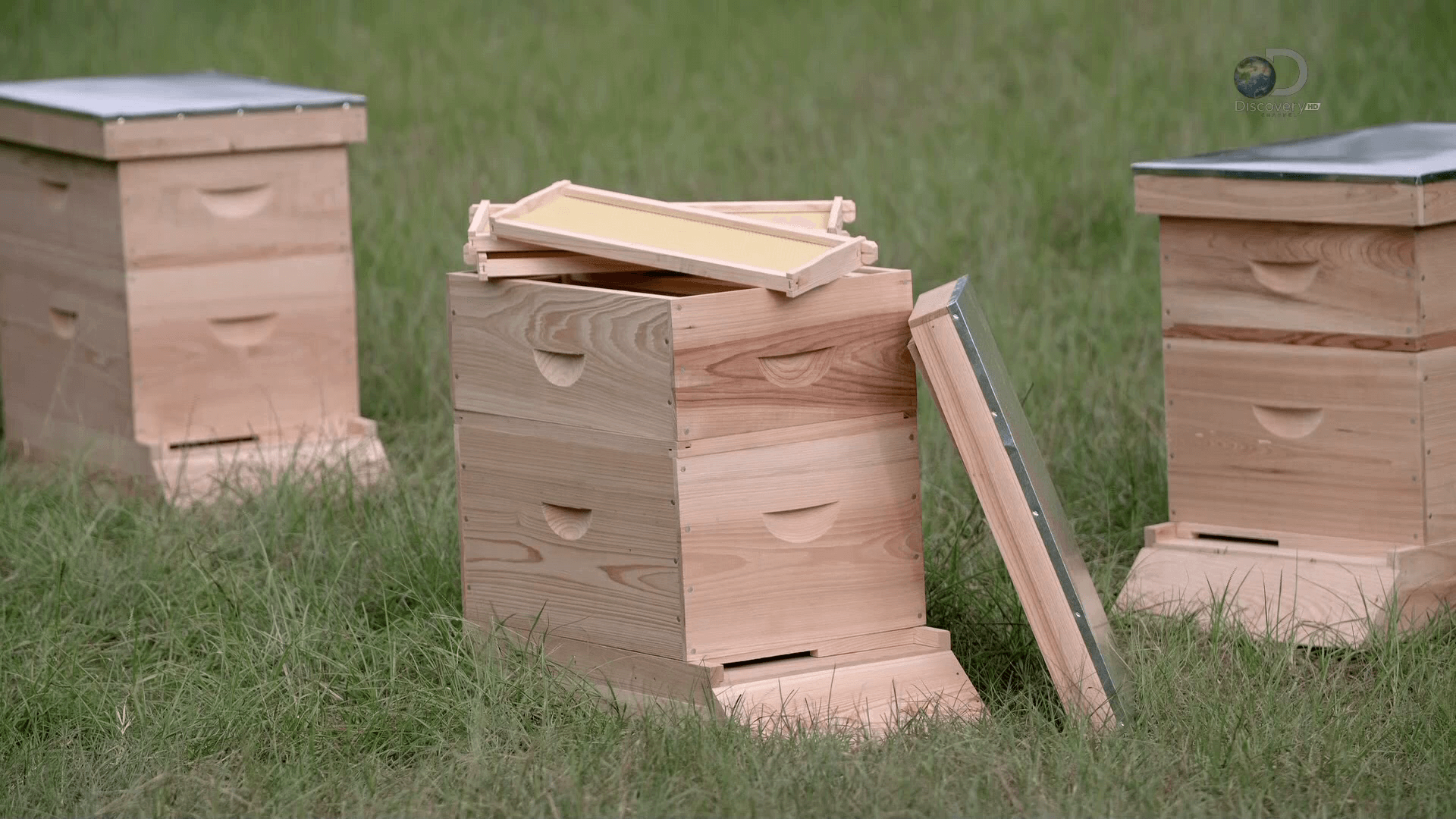 Ульи для пчел