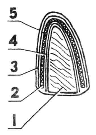 Выклеивание цулаги: 1 — пуансон; 2 — цулага (стеклопластик s0,6 — 0,8); 3 — прокладка наружная (пленка лавсановая s0,02); 4 — прокладка внутренняя (пленка лавсановая s0,25); 5 — обмотка (лента магнитофонная).