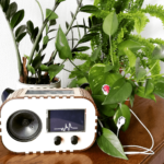 Радио для растений