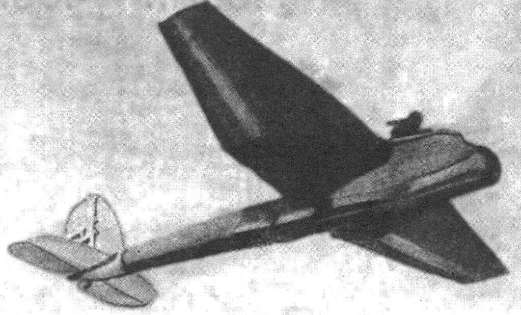 Надувной планер «Имени X съезда ВЛКСМ» в полете
