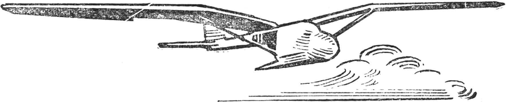 Рис. 5. Планер-орнитоптер американца Моола.