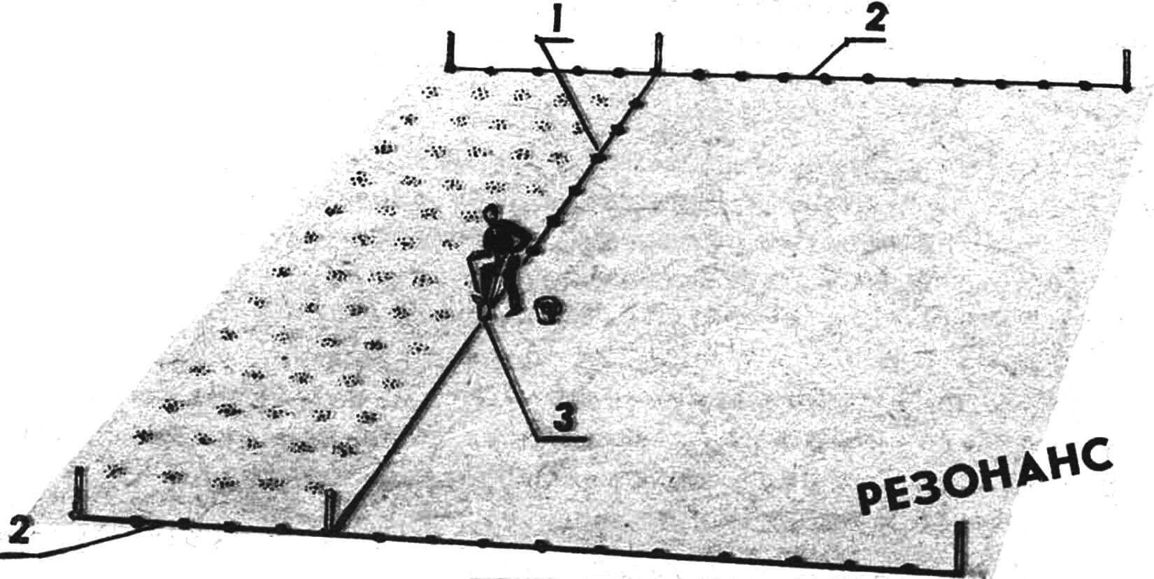 Схема посадки картофеля квадратно-гнездовым способом с помощью мерных и направляющих веревок