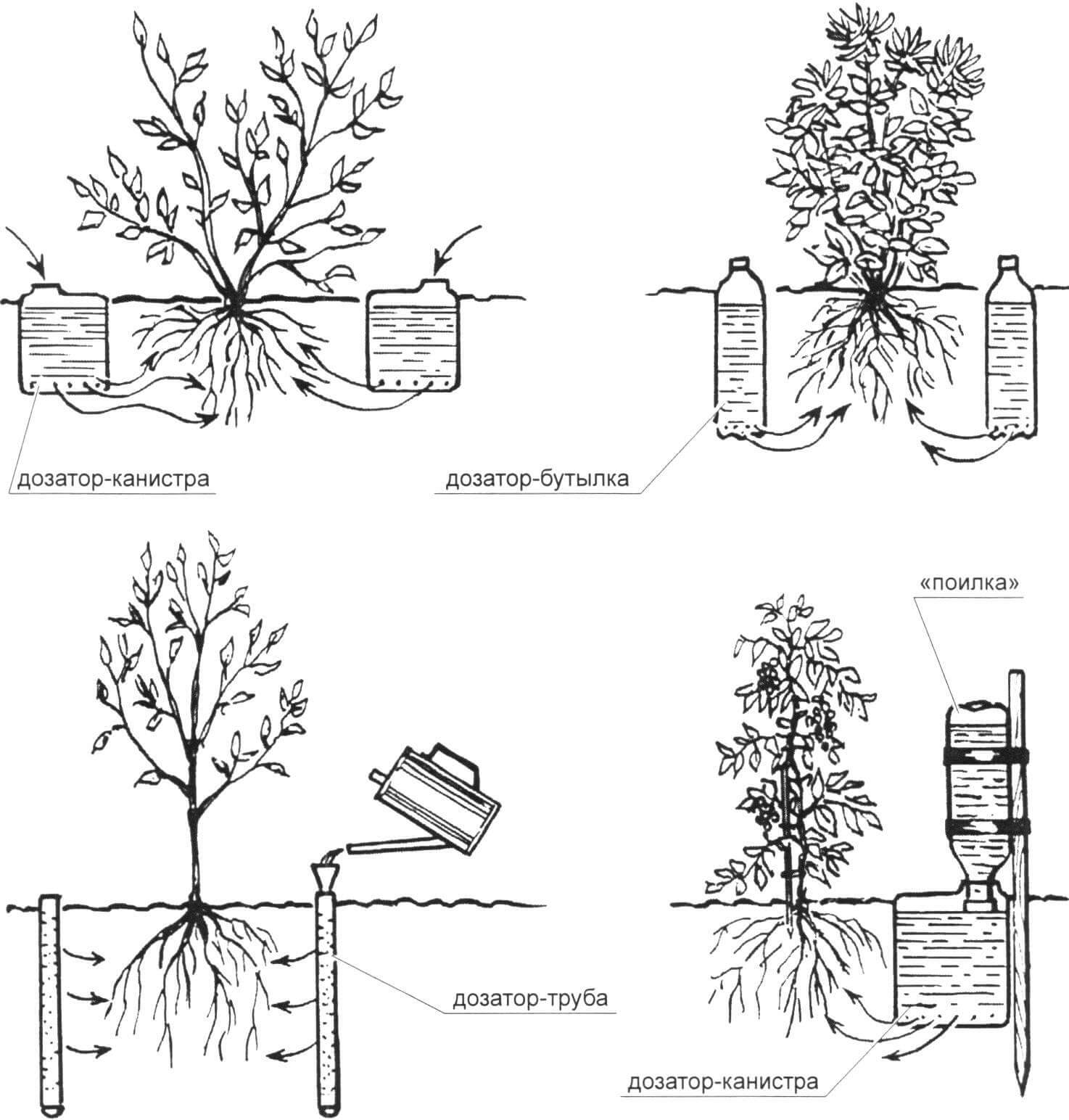 Простейшие устройства для дозированного подземного полива с использованием пластиковых канистр, бутылок и полистироловых труб