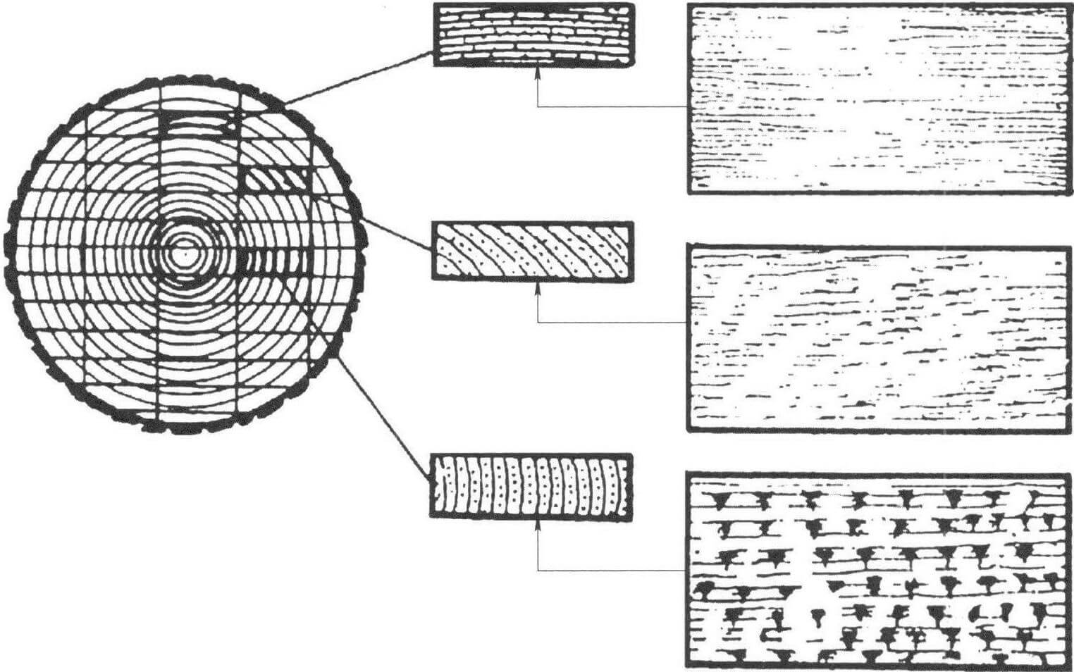 Рис. 2. Схема распиловки ствола (справа - вид на бруски сверху)