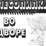 «Лесопилка» во дворе