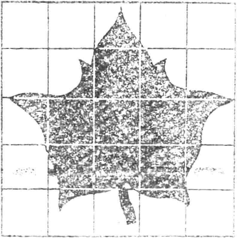 Рис. 3. Декоративная накладка.