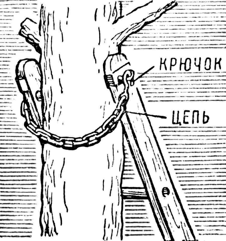 ЛЕСТНИЦА НА... ЦЕПИ