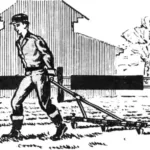 КАРТОФЕЛЬ ПО-ГОЛЛАНДСКИ