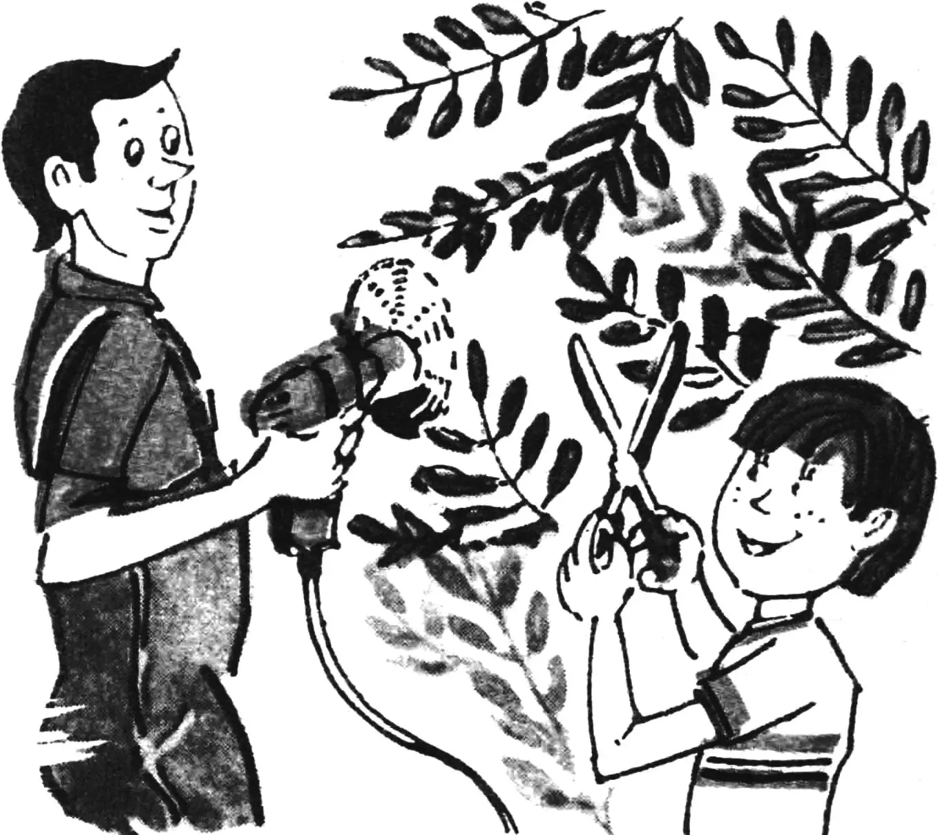 СТРИЖЕМ КУСТАРНИК ДРЕЛЬЮ