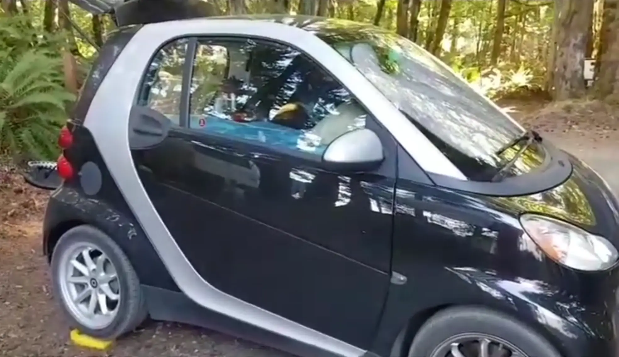 Почему Smart Fortwo 451 подходит для кемпинга