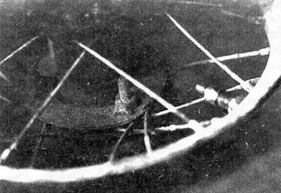 Фото 2. Крепление звездочки на заднем колесе болтами М6 с сегментными шайбами