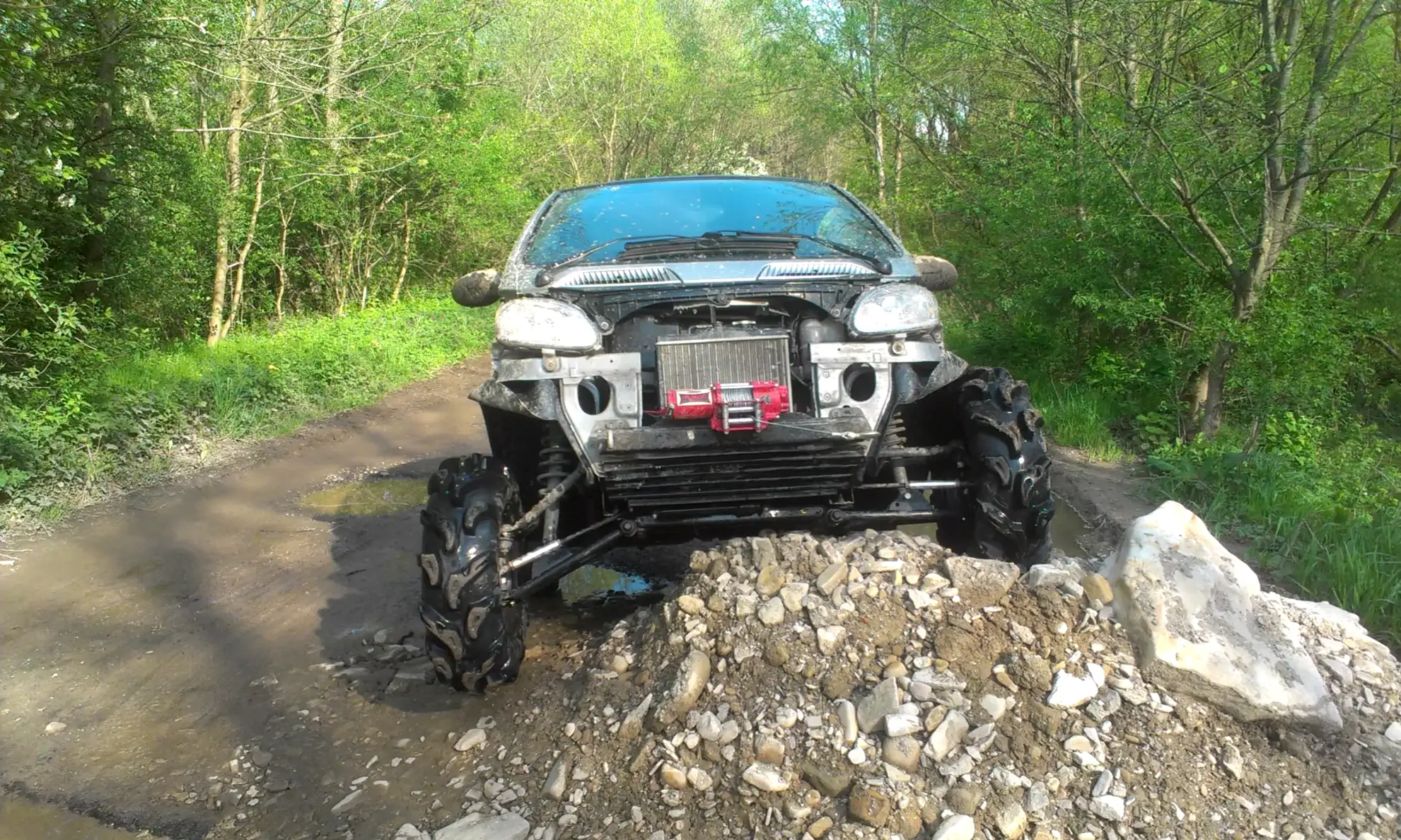 Внедорожный Smart ForTwo