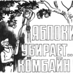 ЯБЛОКИ УБИРАЕТ… КОМБАЙН!