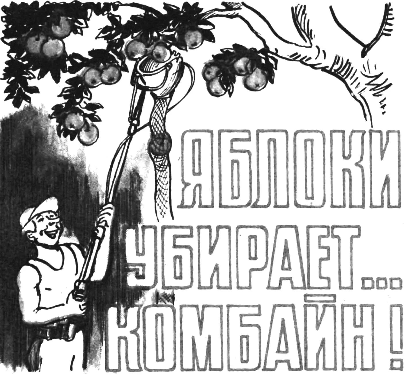 ЯБЛОКИ УБИРАЕТ… КОМБАЙН!