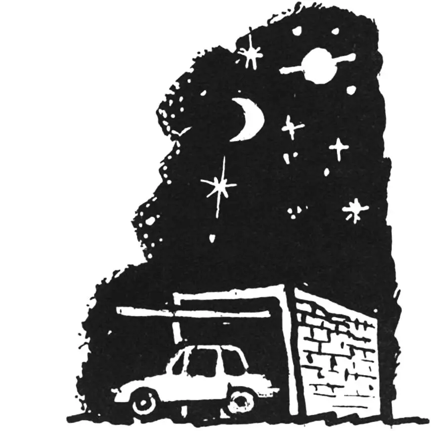 ЦУП В ГАРАЖЕ