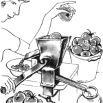 ТОМАТНЫЙ КОМБАЙН