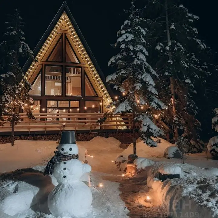 Аренда загородного дома на новый год