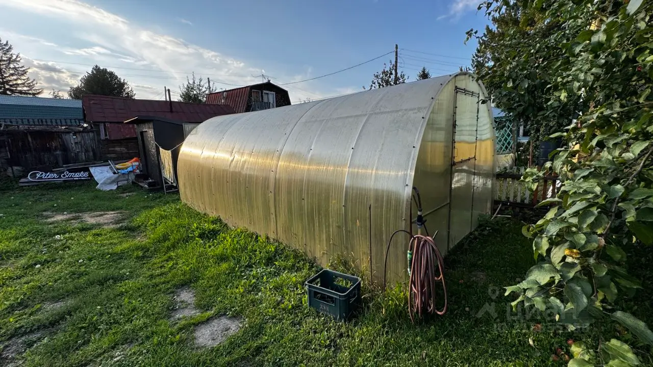 Теплица на даче