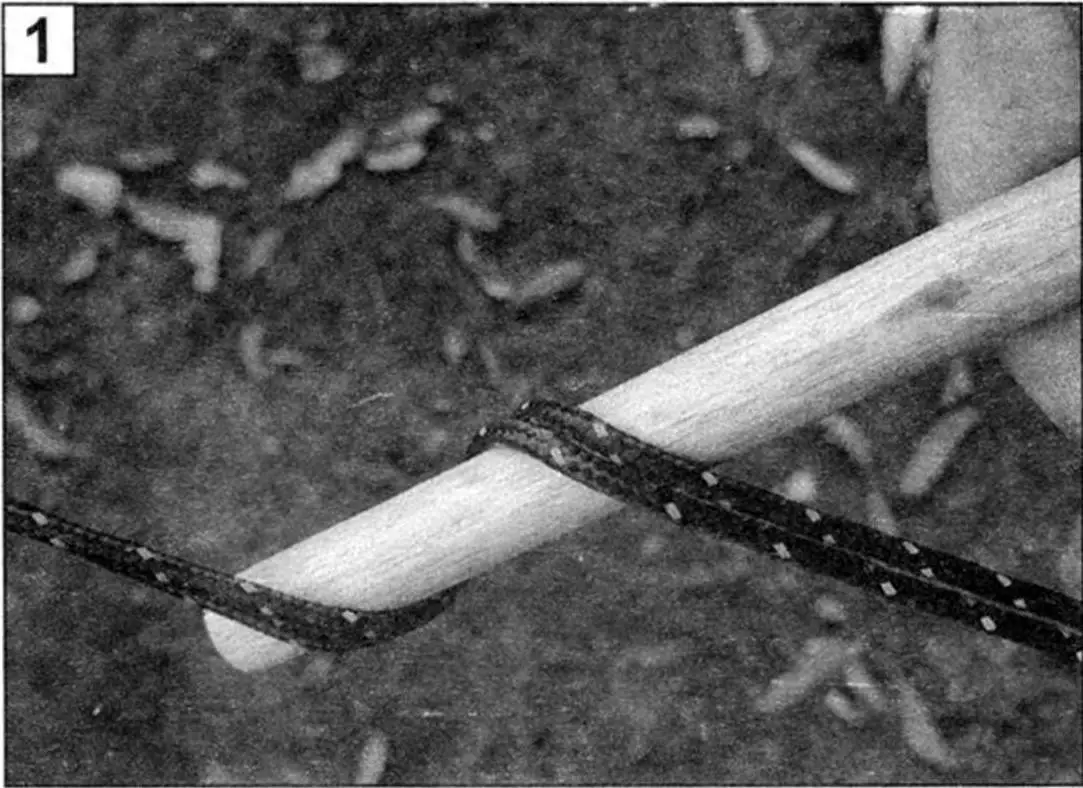 НАТЯЖИТЕЛЬ