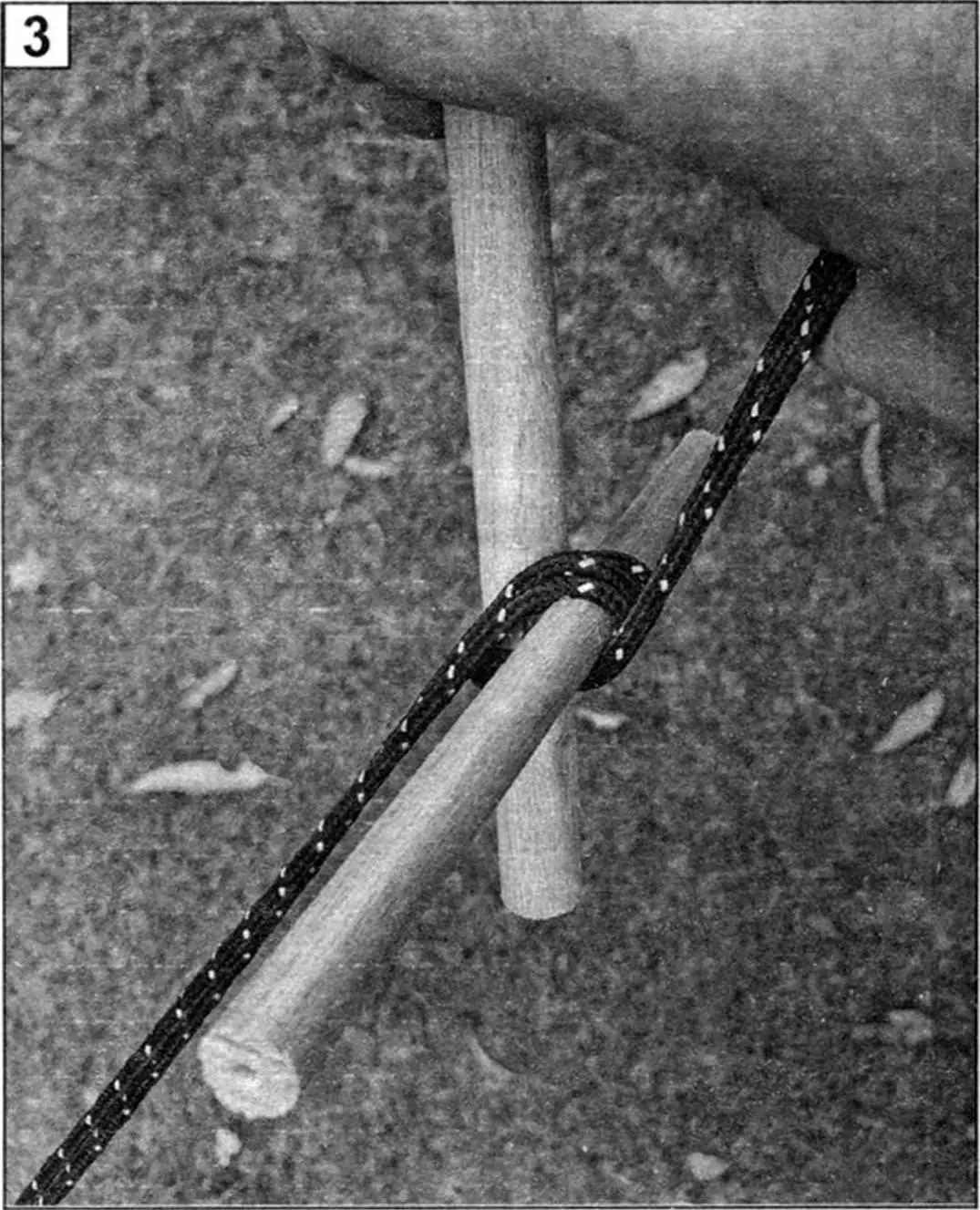 НАТЯЖИТЕЛЬ