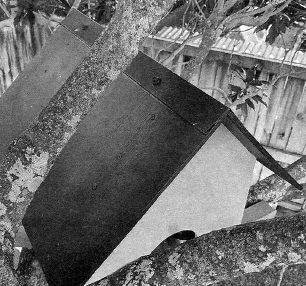 Оформление конька крыши