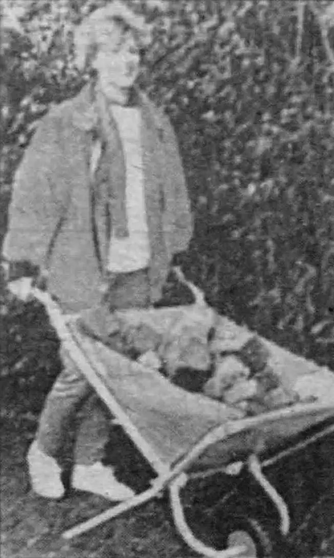 Для виготовлення такої зручної тачки підійде і стара розкладачка.