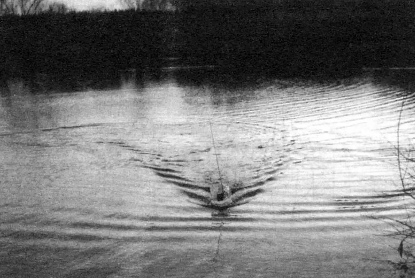 Return to «native shores»