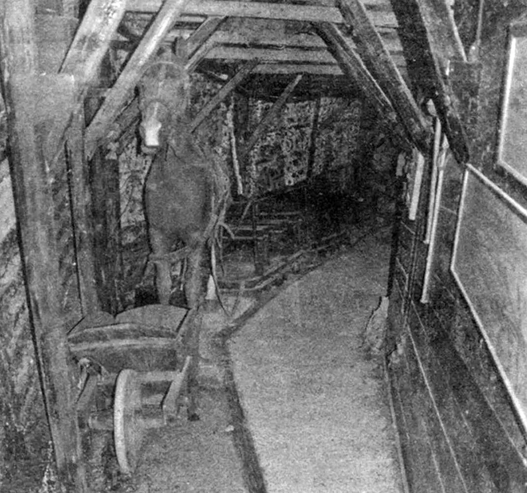 «Угольная шахта» на нижнем ярусе