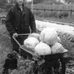 ТАЧКИ ВСЯКИЕ НУЖНЫ