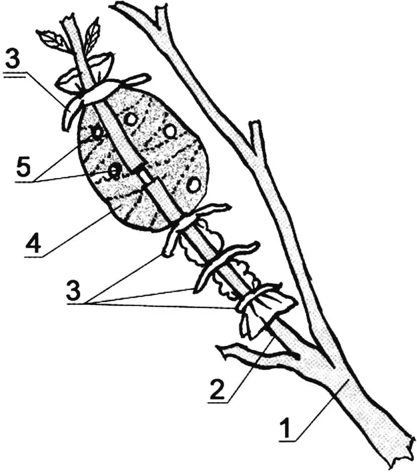 'Vessel' made from bags
