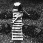 САД БАБОЧЕК