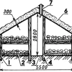 ГРИБОВОДСТВО ПО-ГРАЧЕВУ
