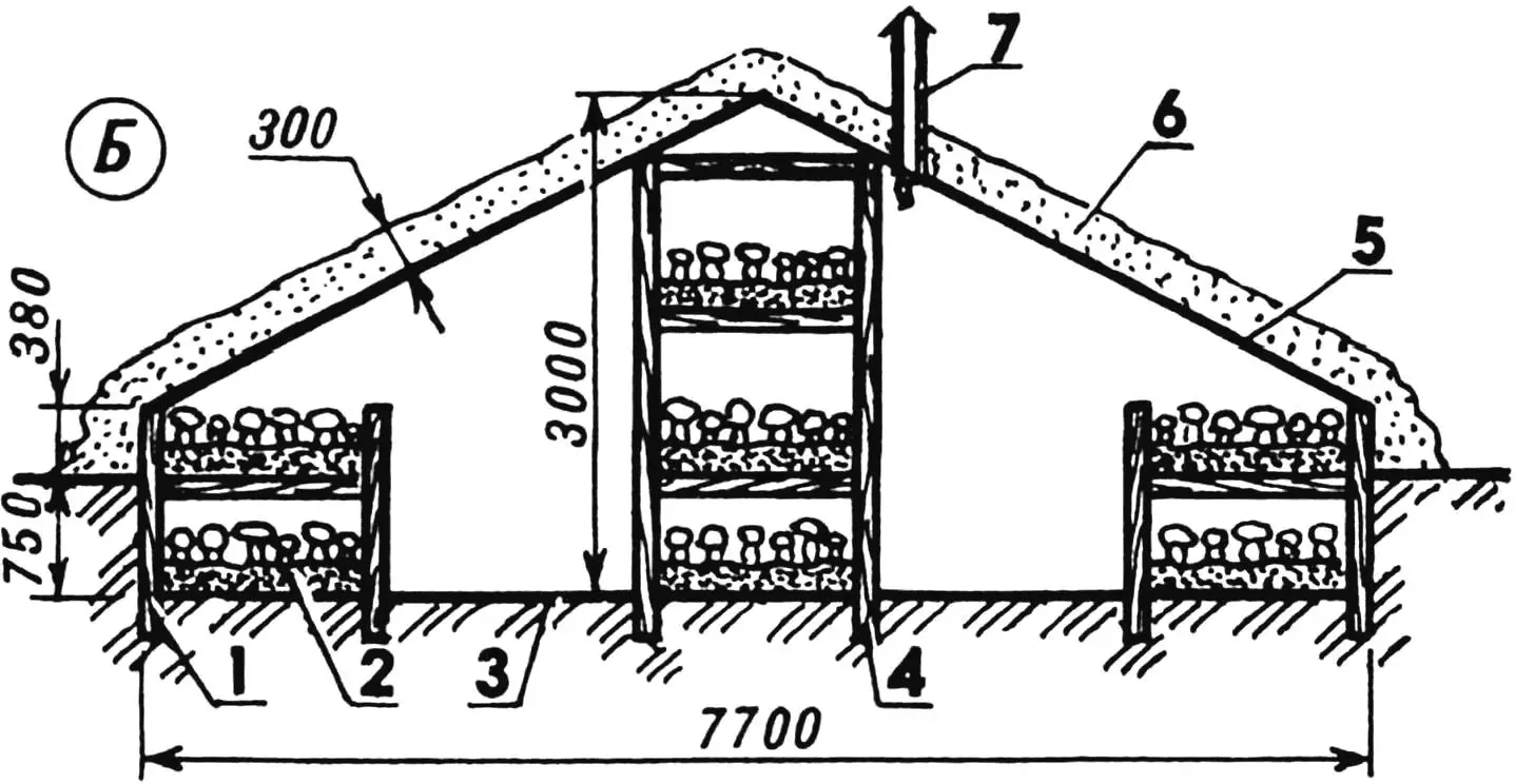Champignon greenhouses