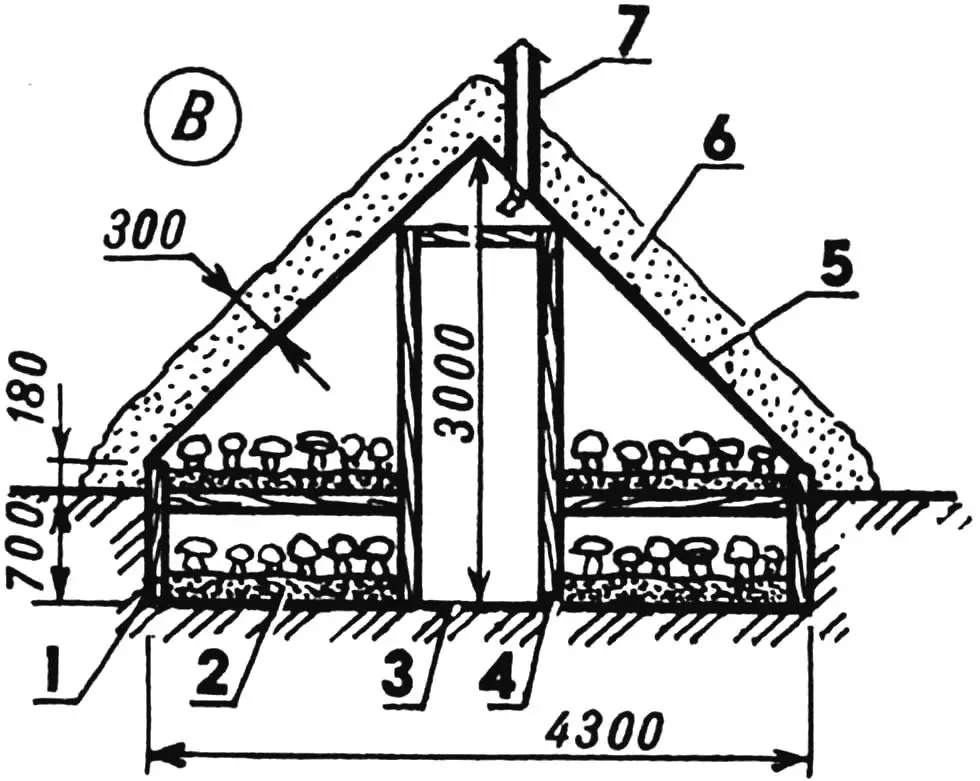 Champignon greenhouses