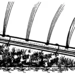 АРЫК… НА ОГОРОДЕ