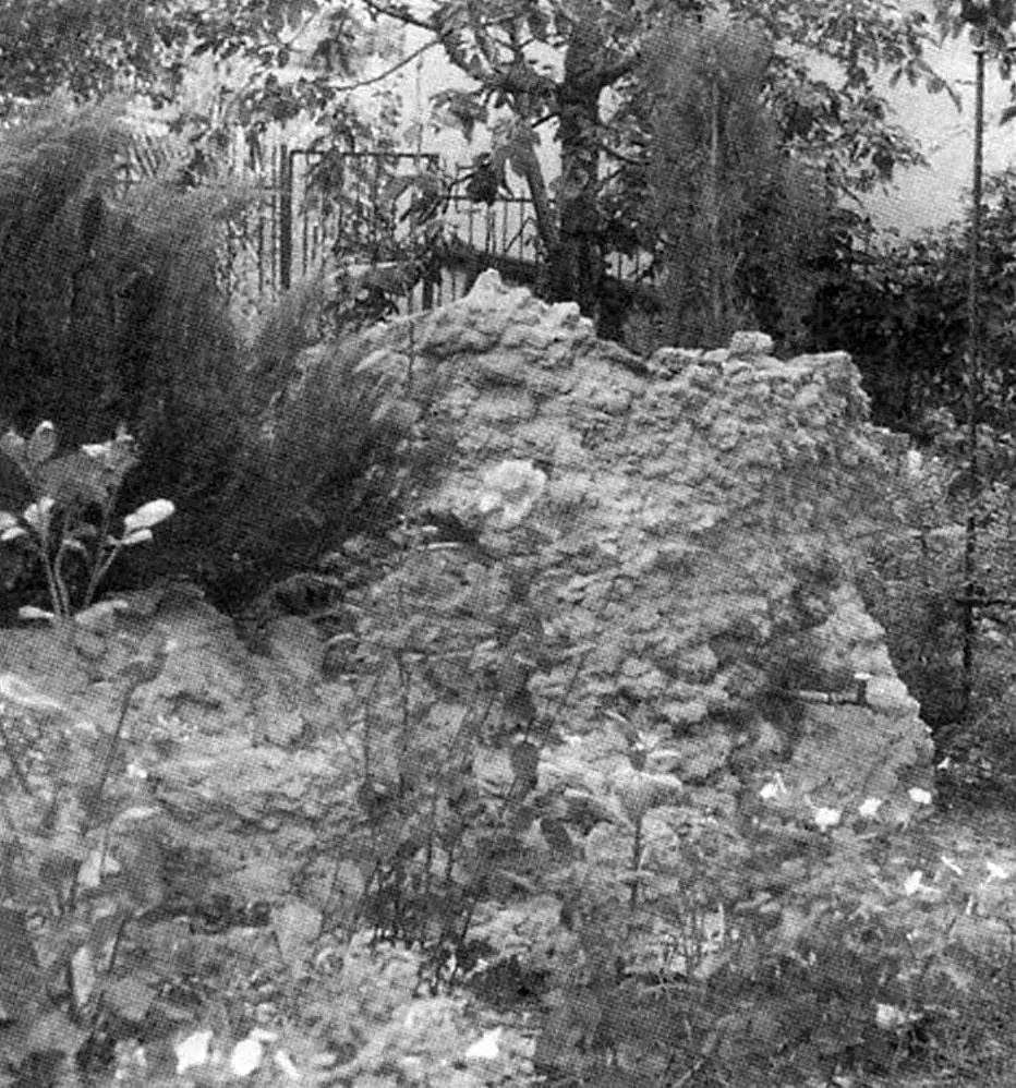 From the lower terrace it’s convenient to draw water from the tube with a valve