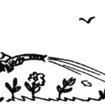 КОЛЬ ПОЛИВАТЬ, ТО АВТОМАТИЧЕСКИ