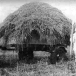 ПРИЦЕП ДЛЯ МОТОЦИКЛА