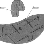 Подкормка гвоздями