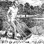 «ДИПЛОМАТ» ДЛЯ НАДУВНОЙ