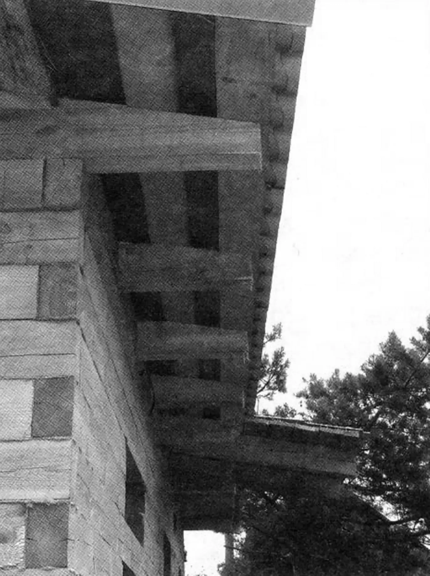Roof and porch overhang